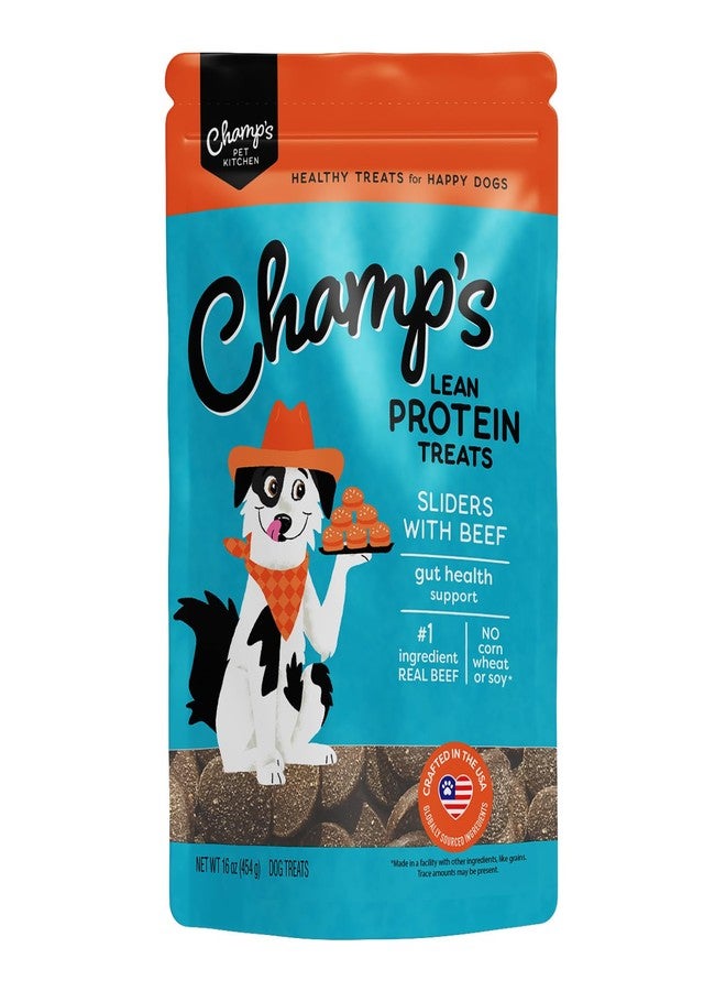 CHAMPS Soft Dog Treats for Digestive Support/Gut Health & Training Snacks Made with Pumpkin, Oat Fiber & Vinegar - Beef Sliders - 16 oz - Image 1